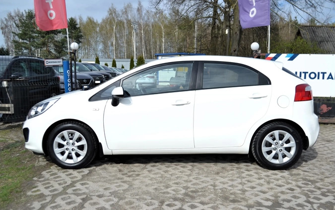 Kia Rio cena 28900 przebieg: 171000, rok produkcji 2014 z Chorzów małe 137